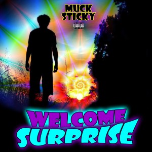 #19 Welcome Surprise (2016)